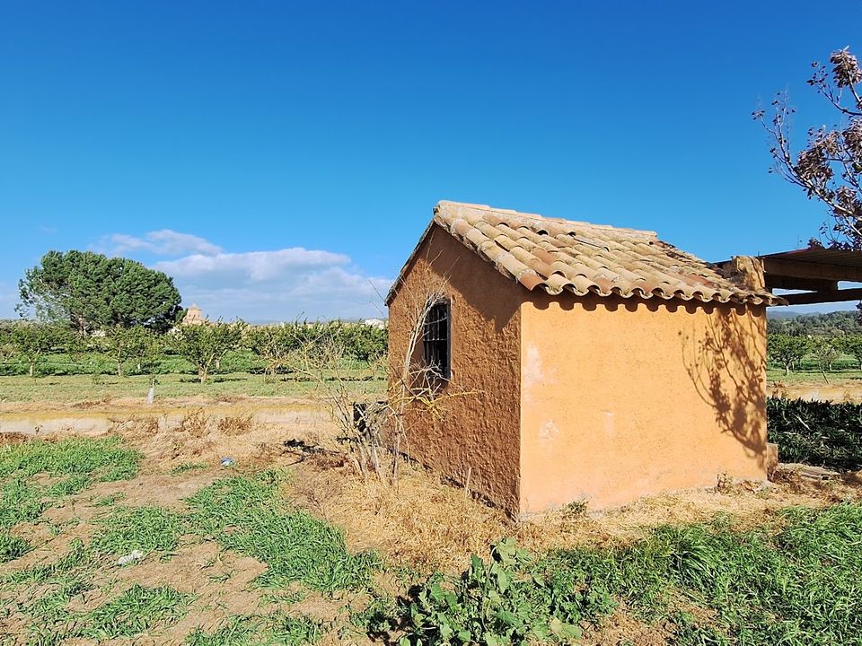 Finca i Ginestar, Tarragona - foto 5